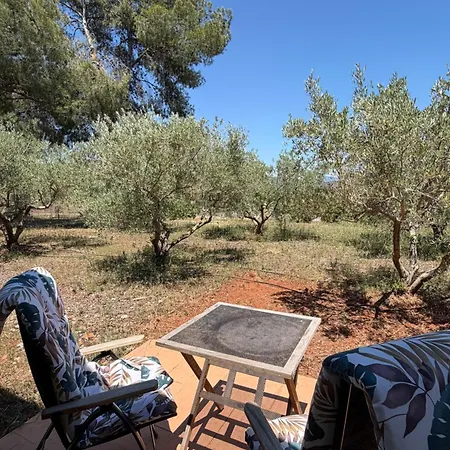 Tossal Del Pla Apartment Estivella